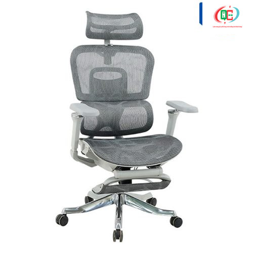 Ghế Công Thái Học  GLE22